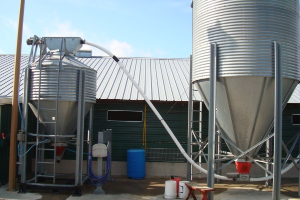 養(yǎng)雞自動喂料系統